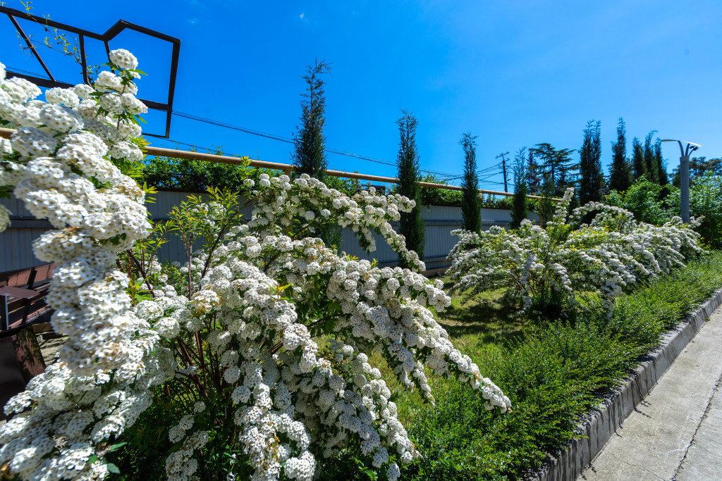 Планировка 3-комн. 5